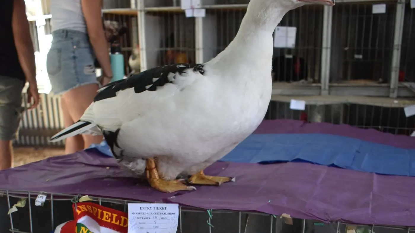 Backing the heart of agriculture through grants