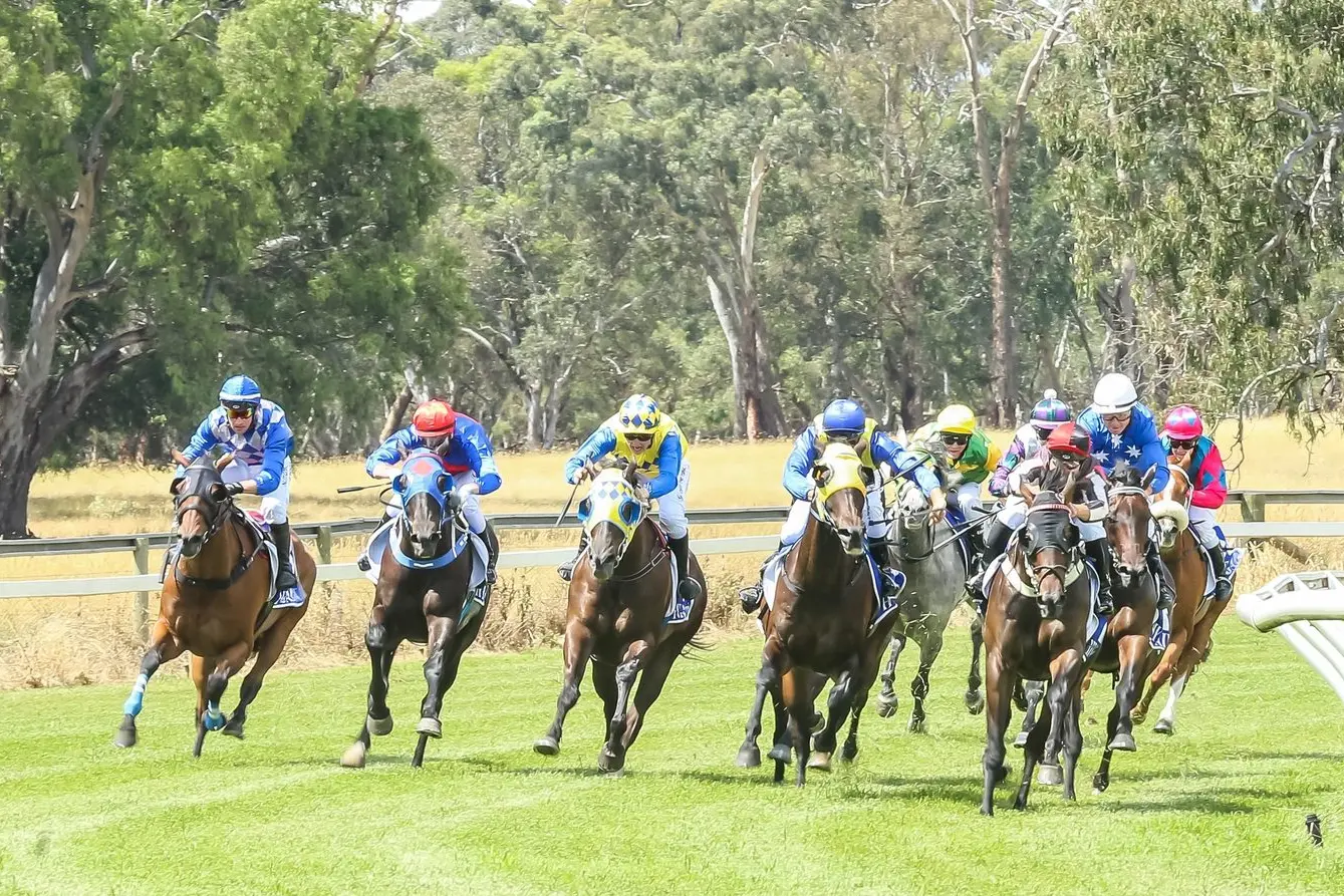 OFF AND RACING: The Mansfield Melbourne Cup Day Picnic Races are traditionally a major event on the local calendar, being known as \\u2018the town\\u2019s party\\u2019. PHOTOS: Supplied