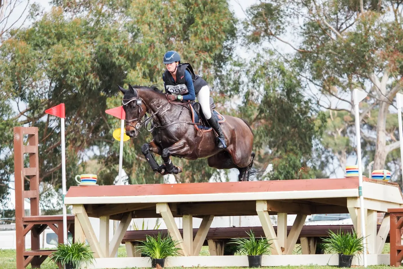 JUMPING CLEAR: Mansfield\\'s Molly Lines secured a win in her section at the prestigious Melbourne International Three Day Event. Id:27620
