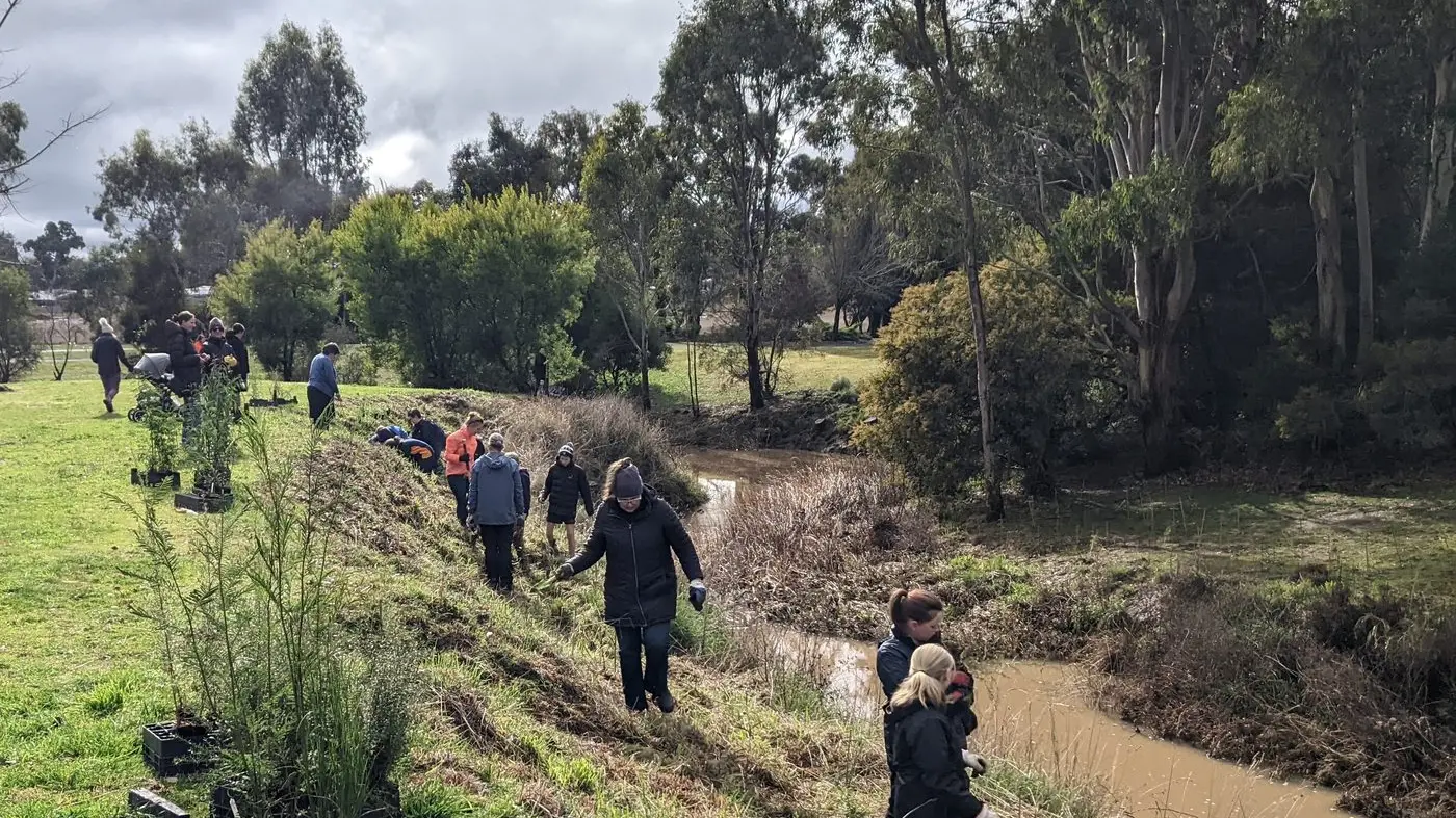 Planting the future: National Tree Day in Mansfield