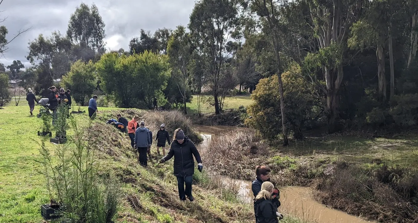 Planting the future: National Tree Day in Mansfield