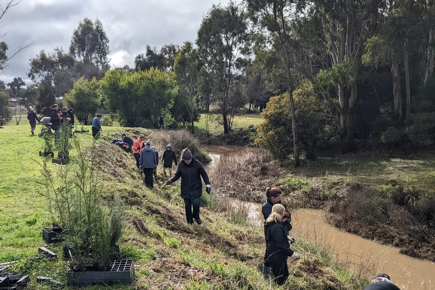 ANNUAL EVENT: On Sunday 27 July, the Mansfield community is invited to celebrate National Tree Day at the Mansfield Botanics.