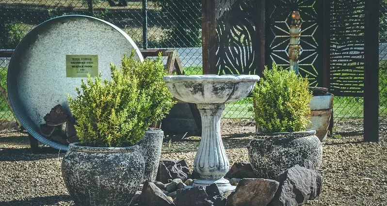 Dig into your garden over winter