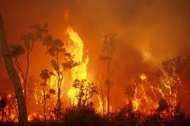 GET READY: Authorities warn this will be a dangerous summer.