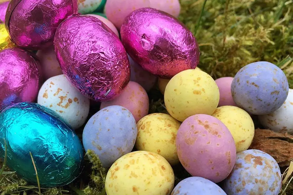 EGGS\\u2013CITEMENT:  10,000 Easter eggs will be hidden around Mt Buller village on Easter Sunday morning \\u2013 just waiting for kids to find them. Id:39437