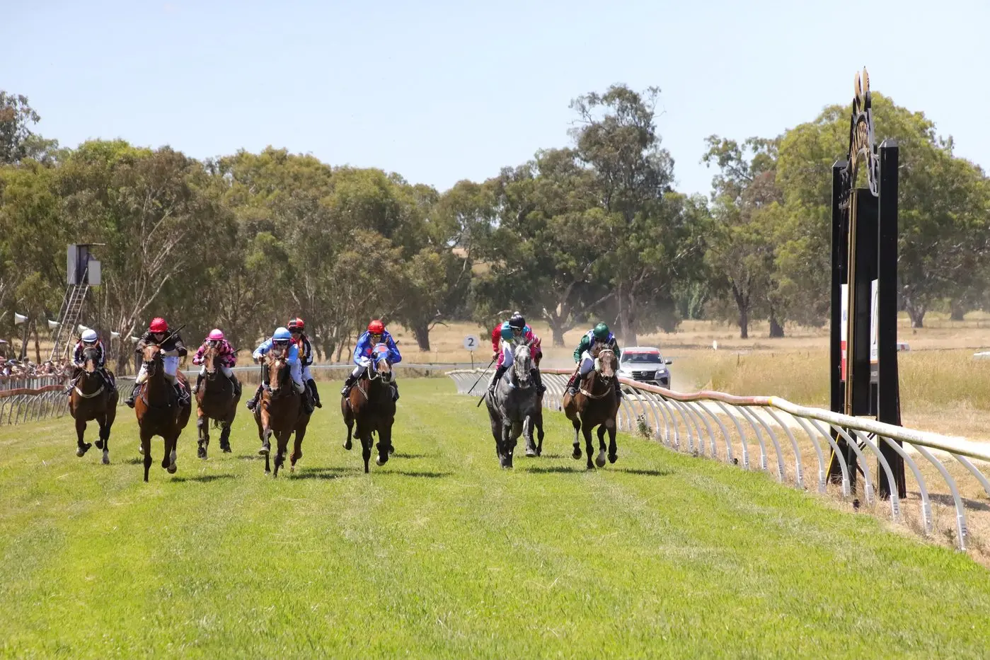 ENJOY THE RACE: Free shuttle buses will ferry patrons to the Cup Day races from Mansfield, Bonnie Doon, Gough\\'s Bay and Merrijig.