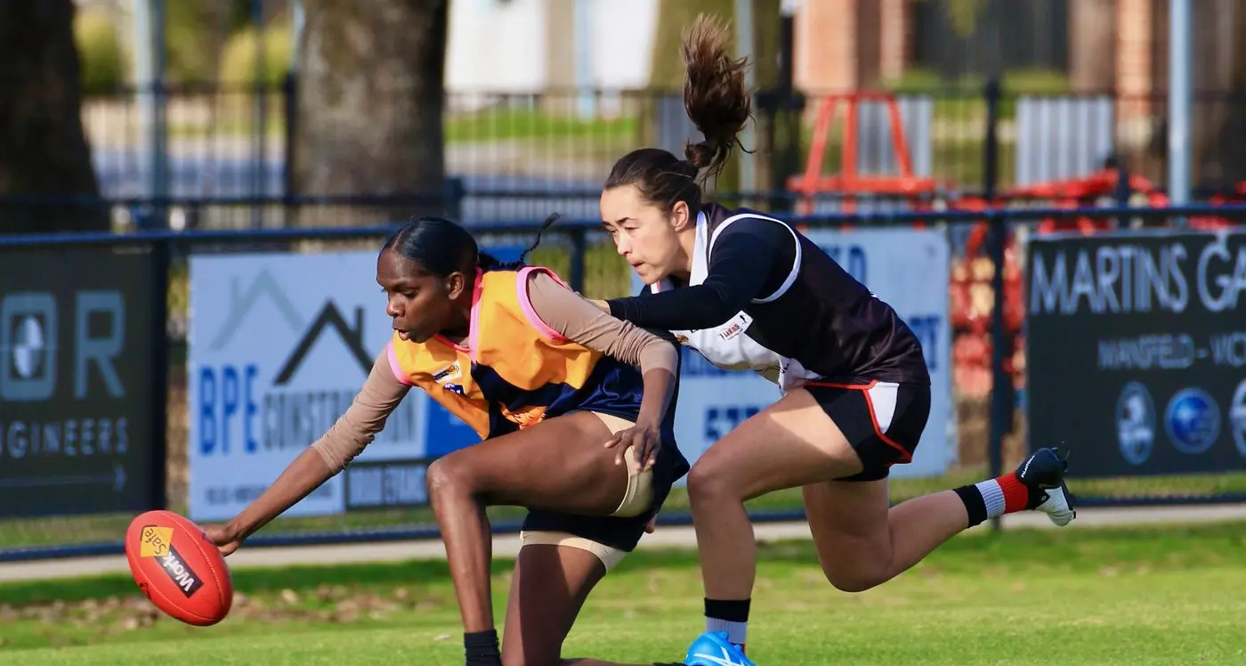 Best first year team ever