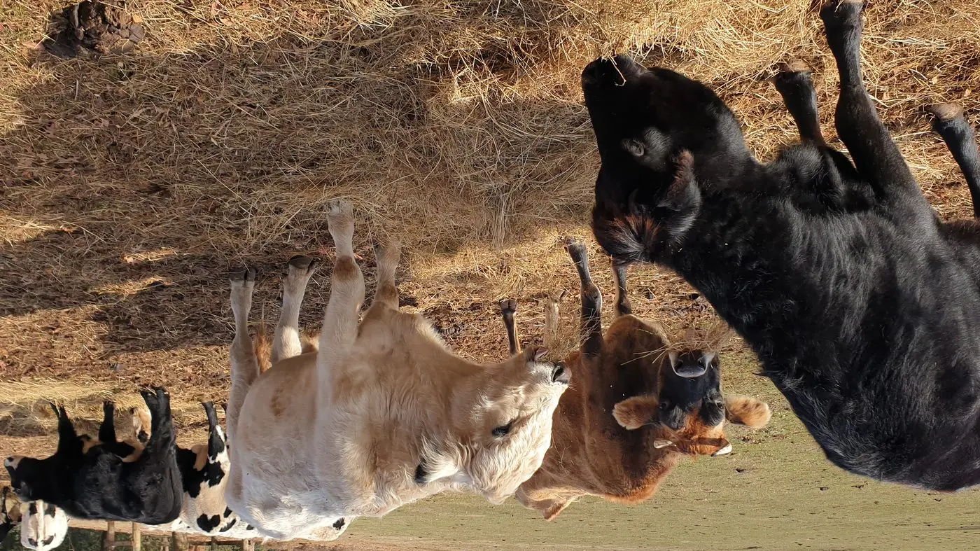 Chilled fingers and a warmed heart