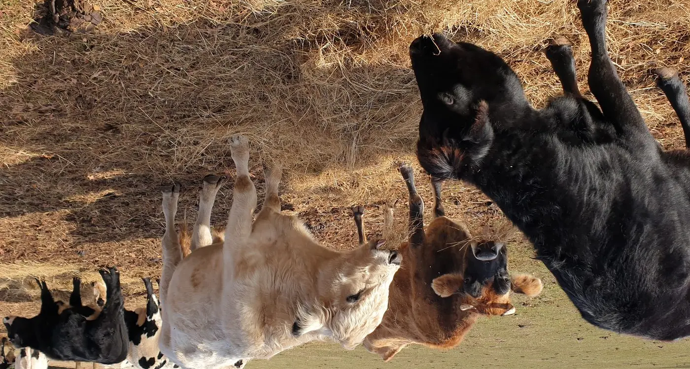 Chilled fingers and a warmed heart