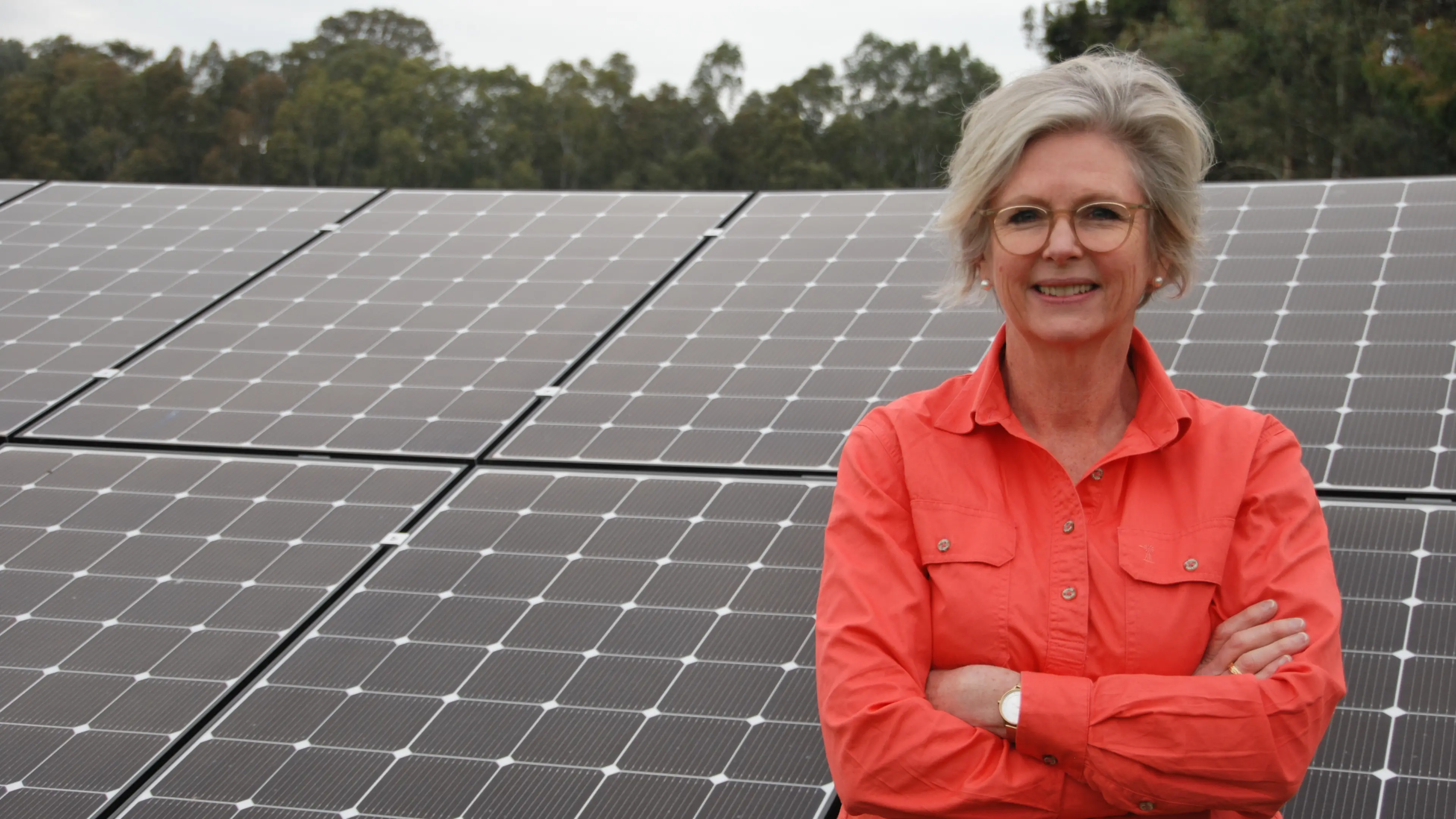 Net zero repeal would hit regions the hardest: Haines