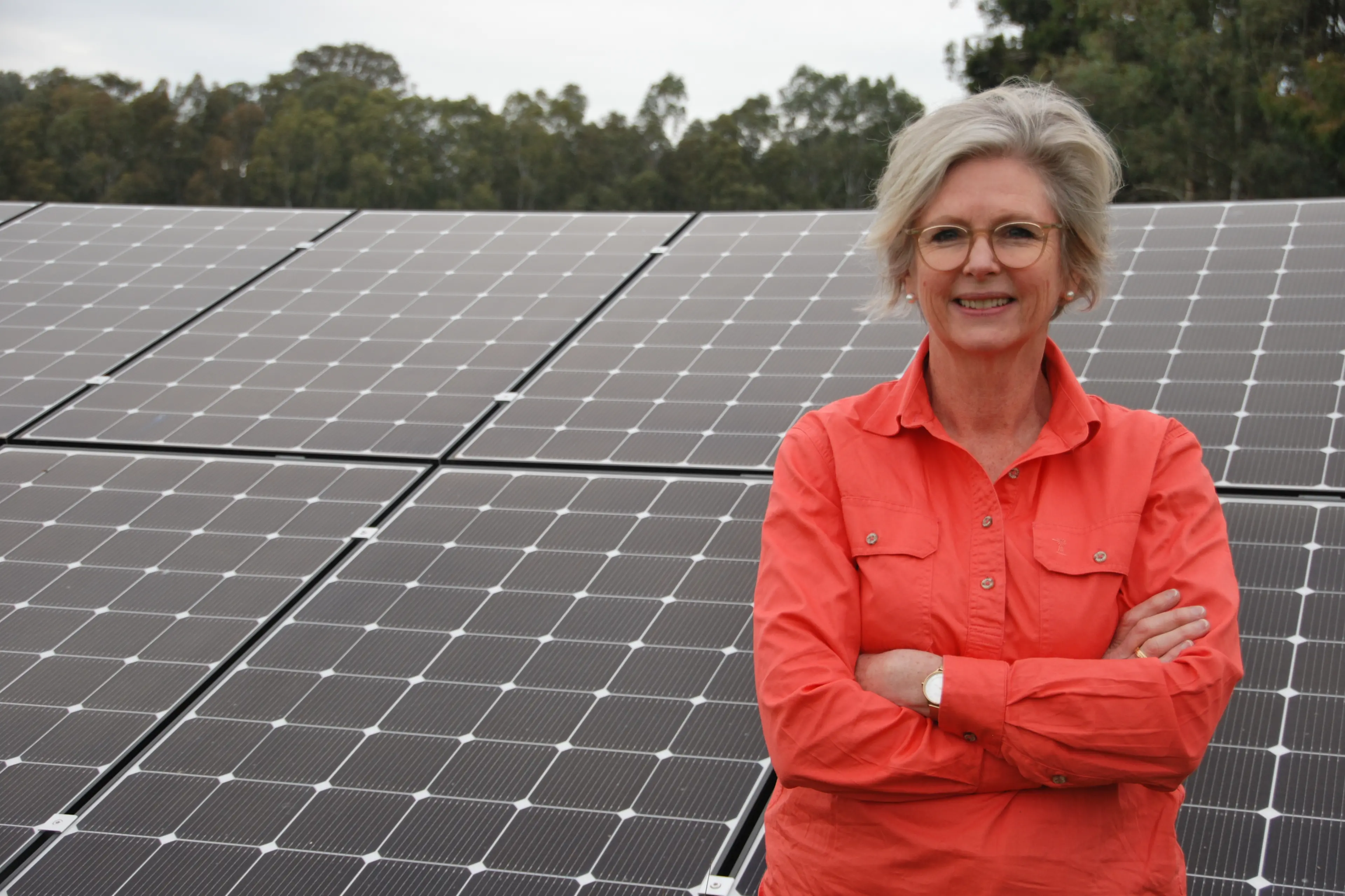 <p>Helen Haines believes a new bill to repeal net zero would wipe out almost $10 billion</p>\\n