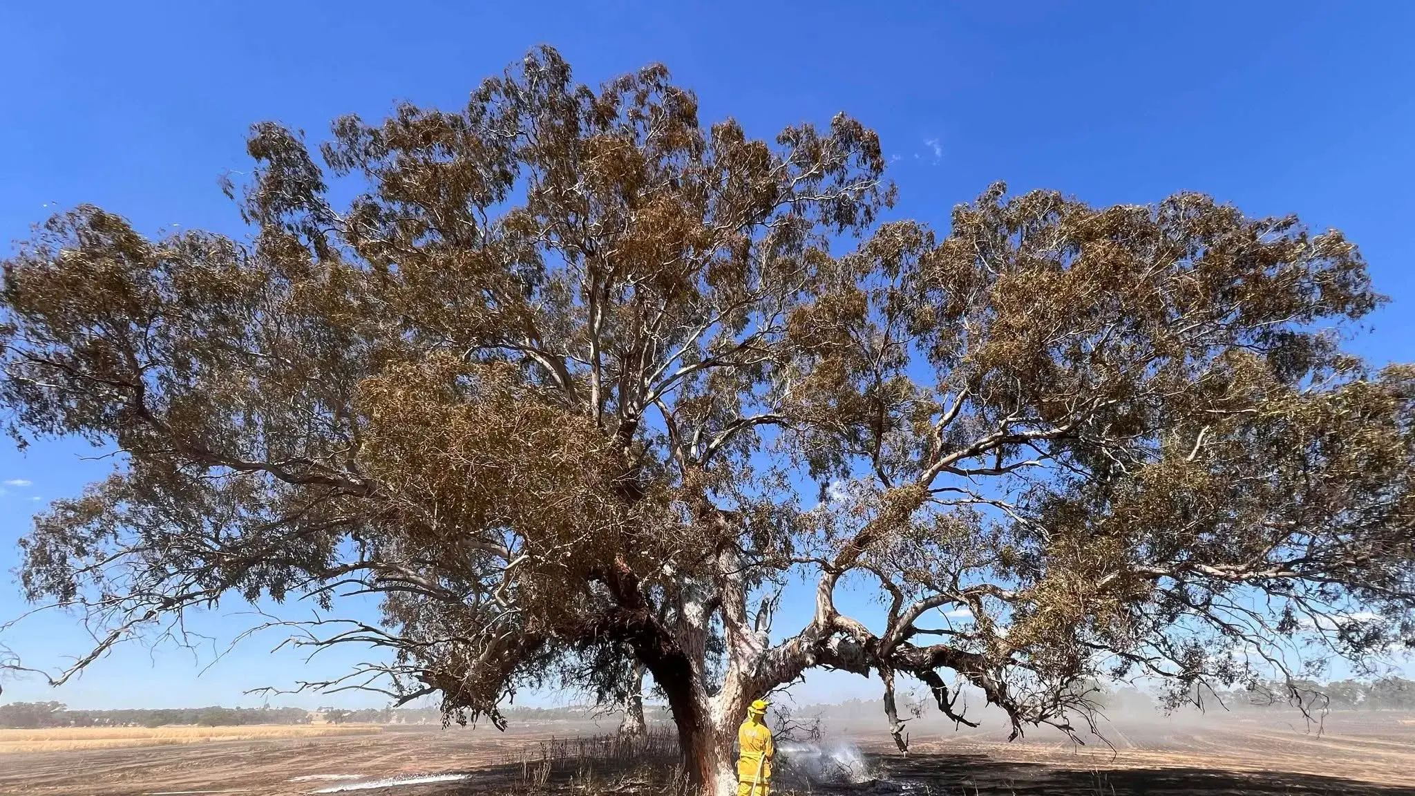 Header sparks 40ha blaze in Lilliput