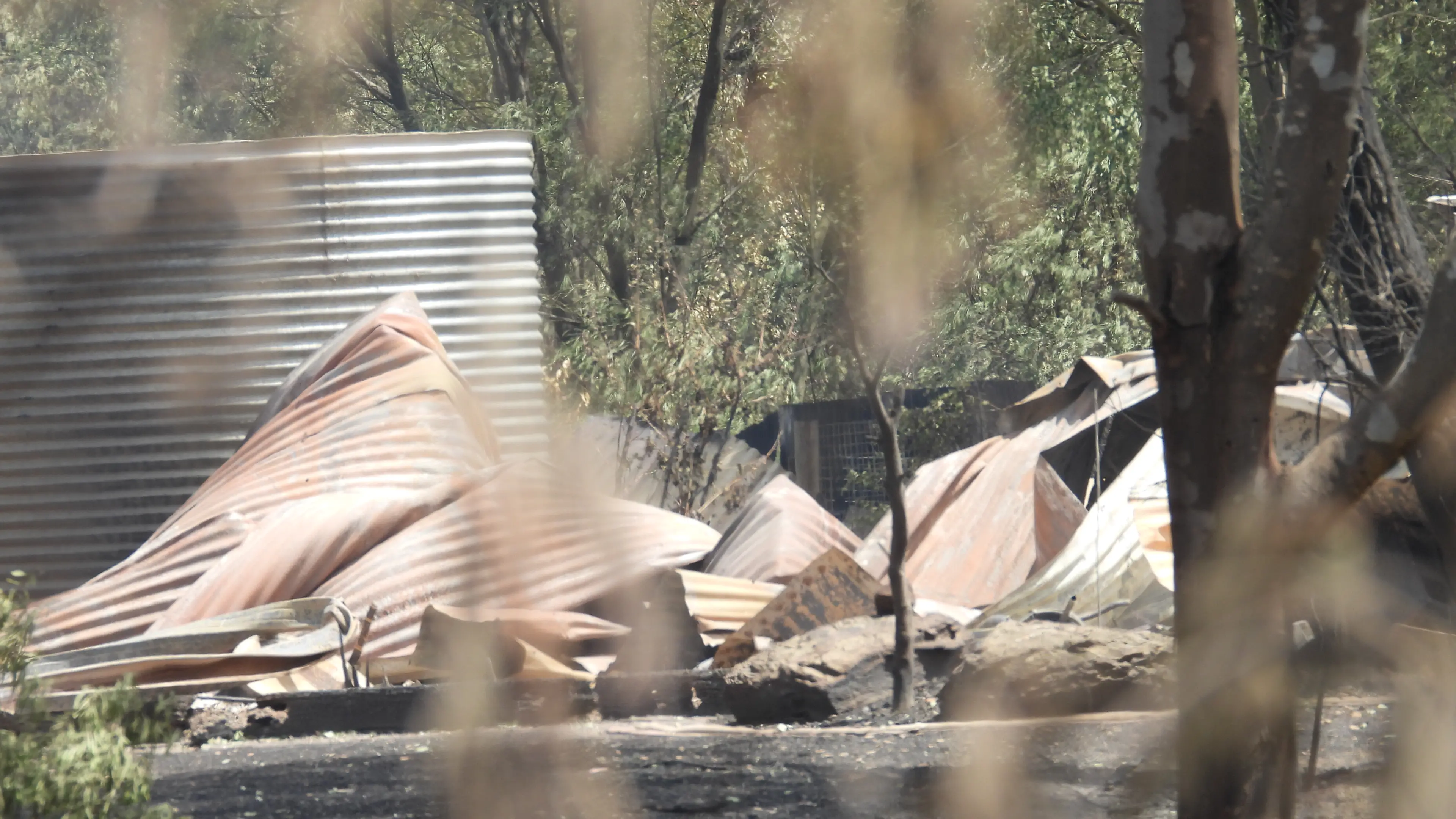 Counting the cost of Longwood fires