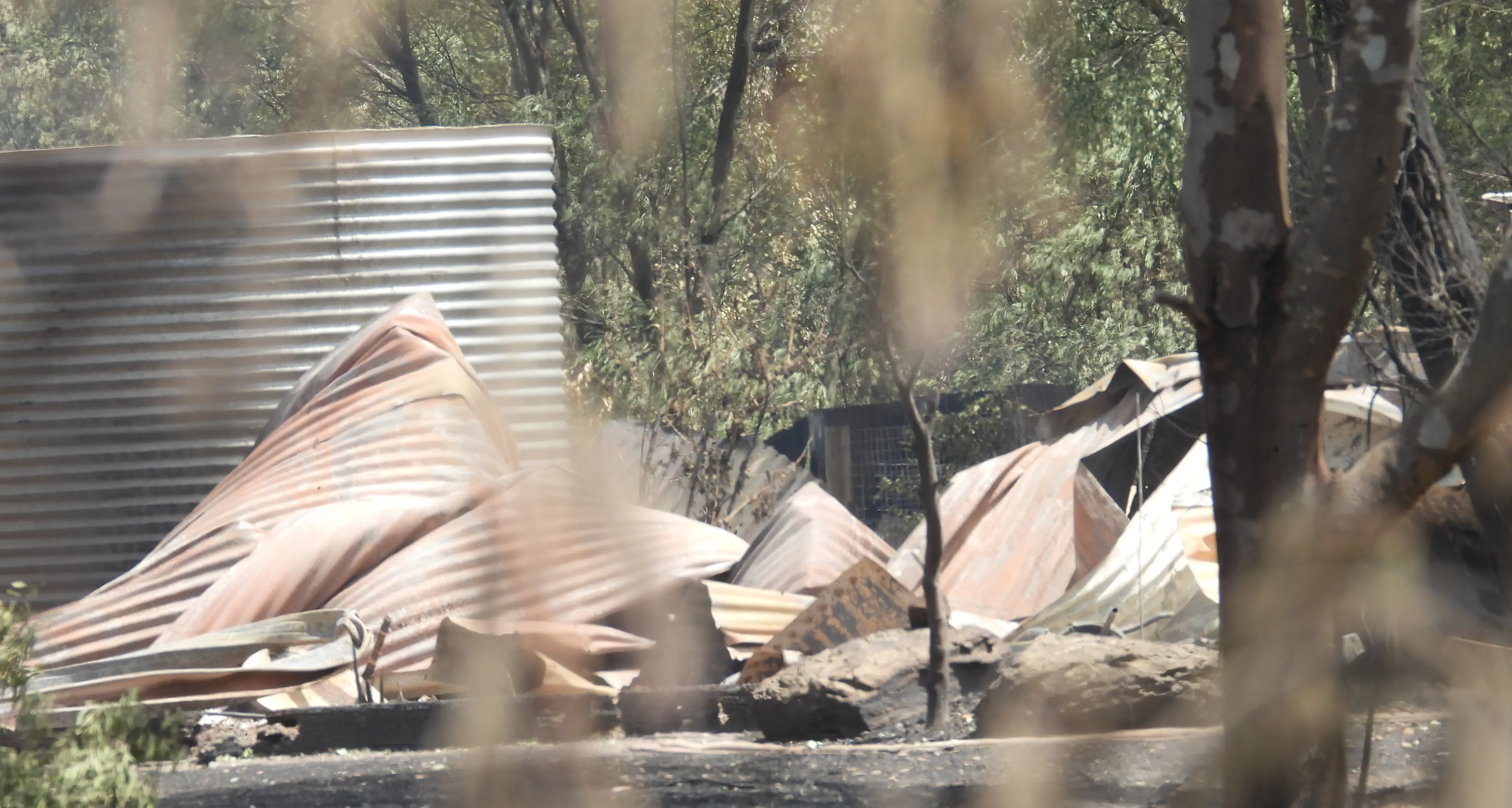 Counting the cost of Longwood fires