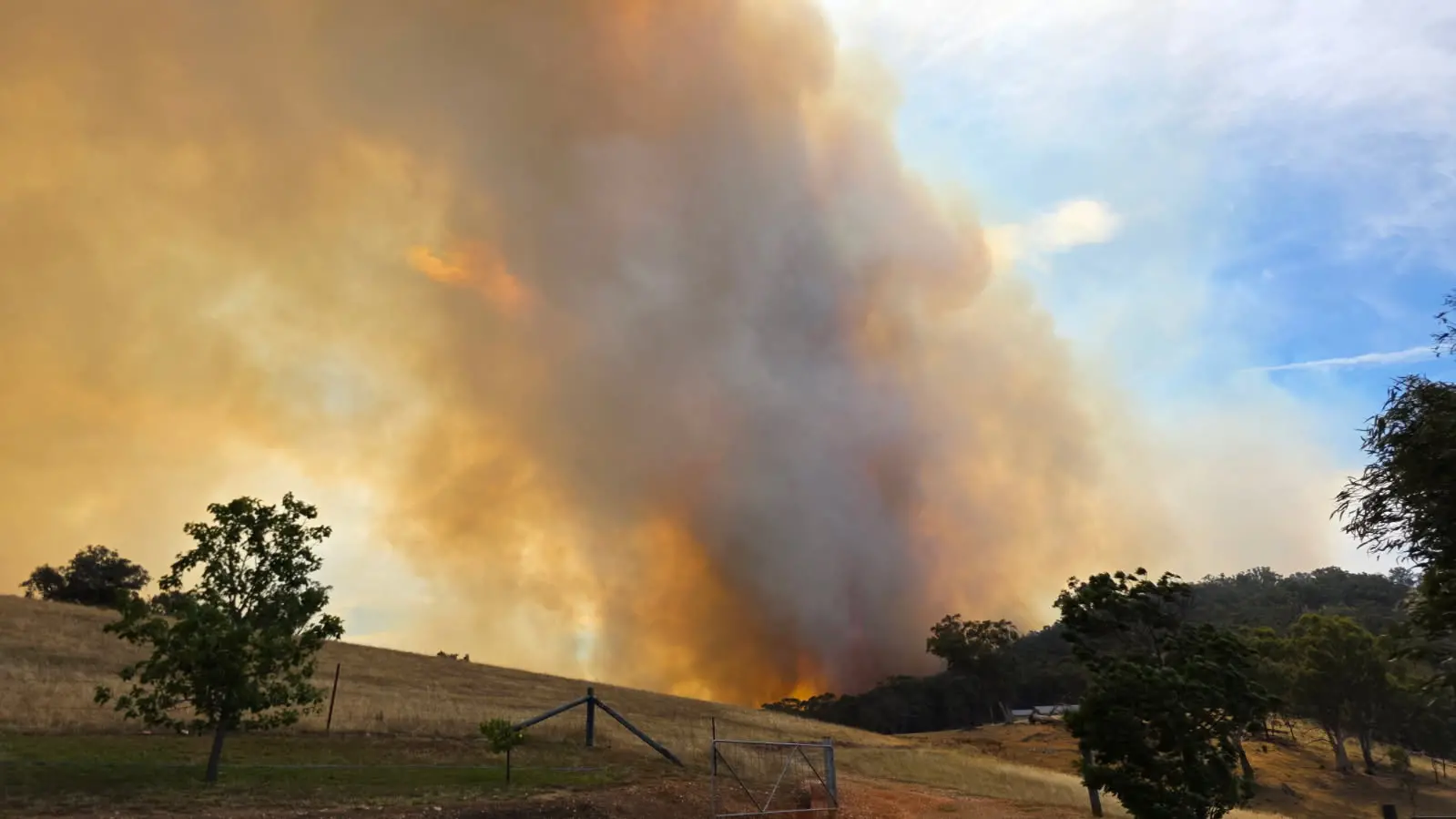 You don't qualify: The thresholds keeping Markwood off the disaster list