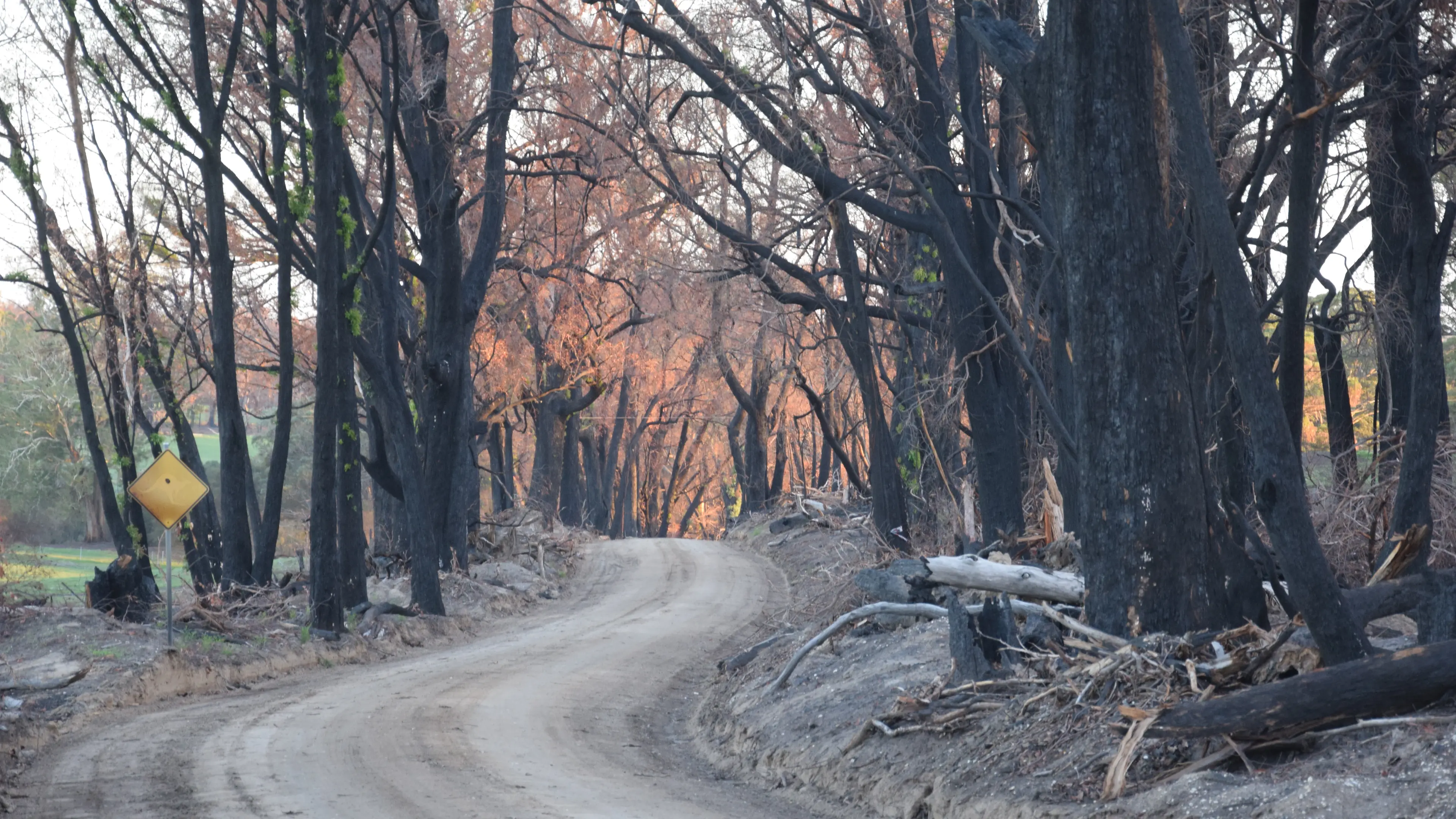 New partnership drives long-term fire recovery