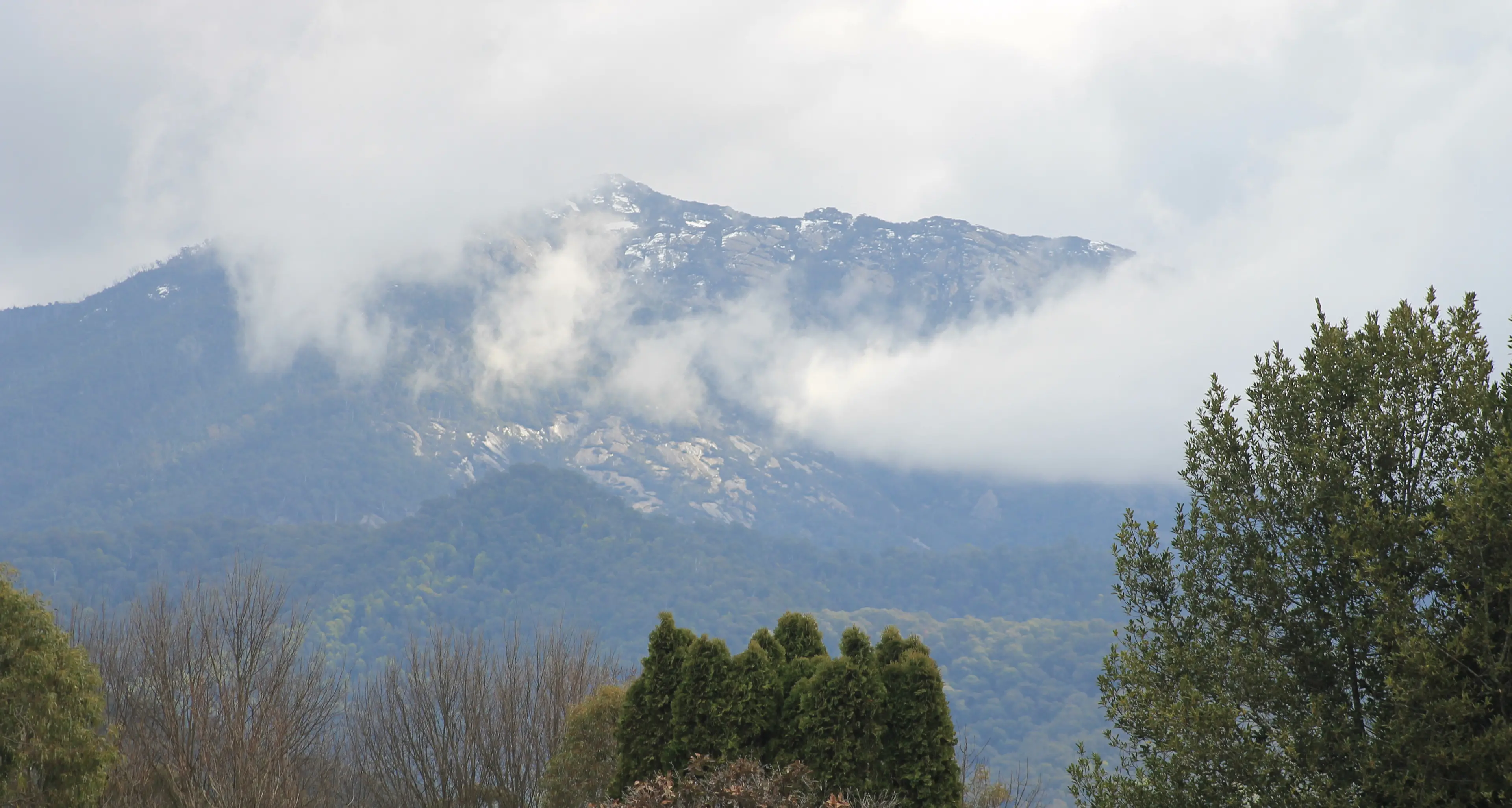 Police target accomplices after fatal shooting of Porepunkah fugitive