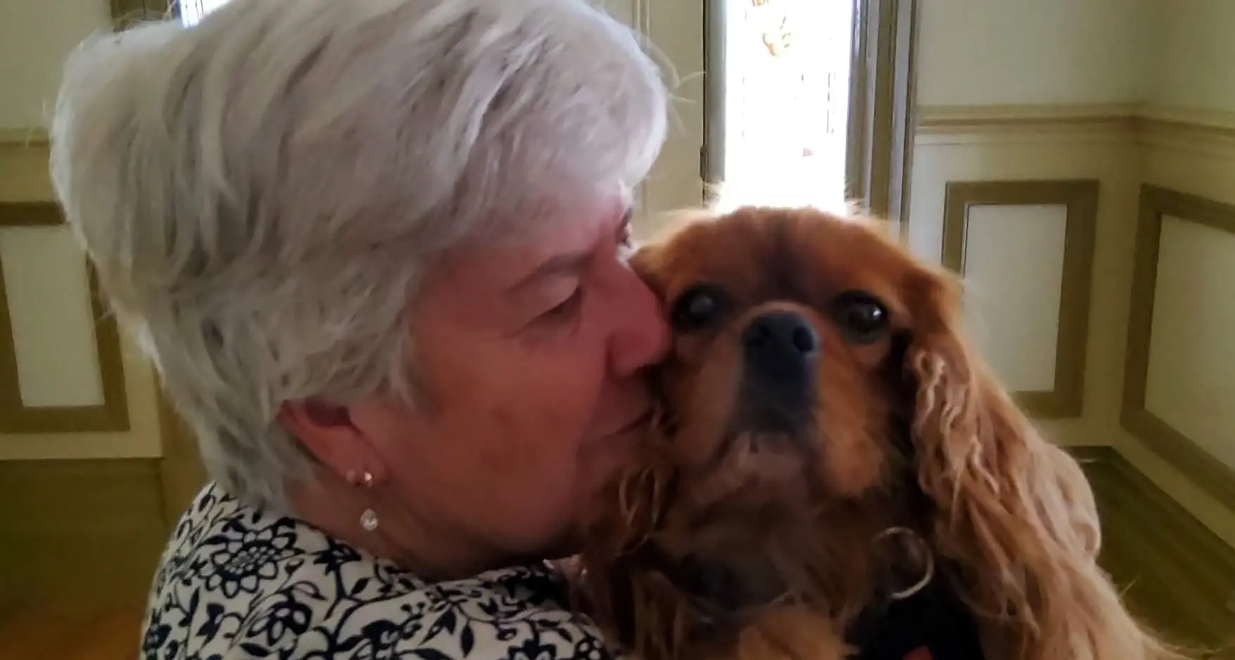 Lost dog in Doon ends as happy tale