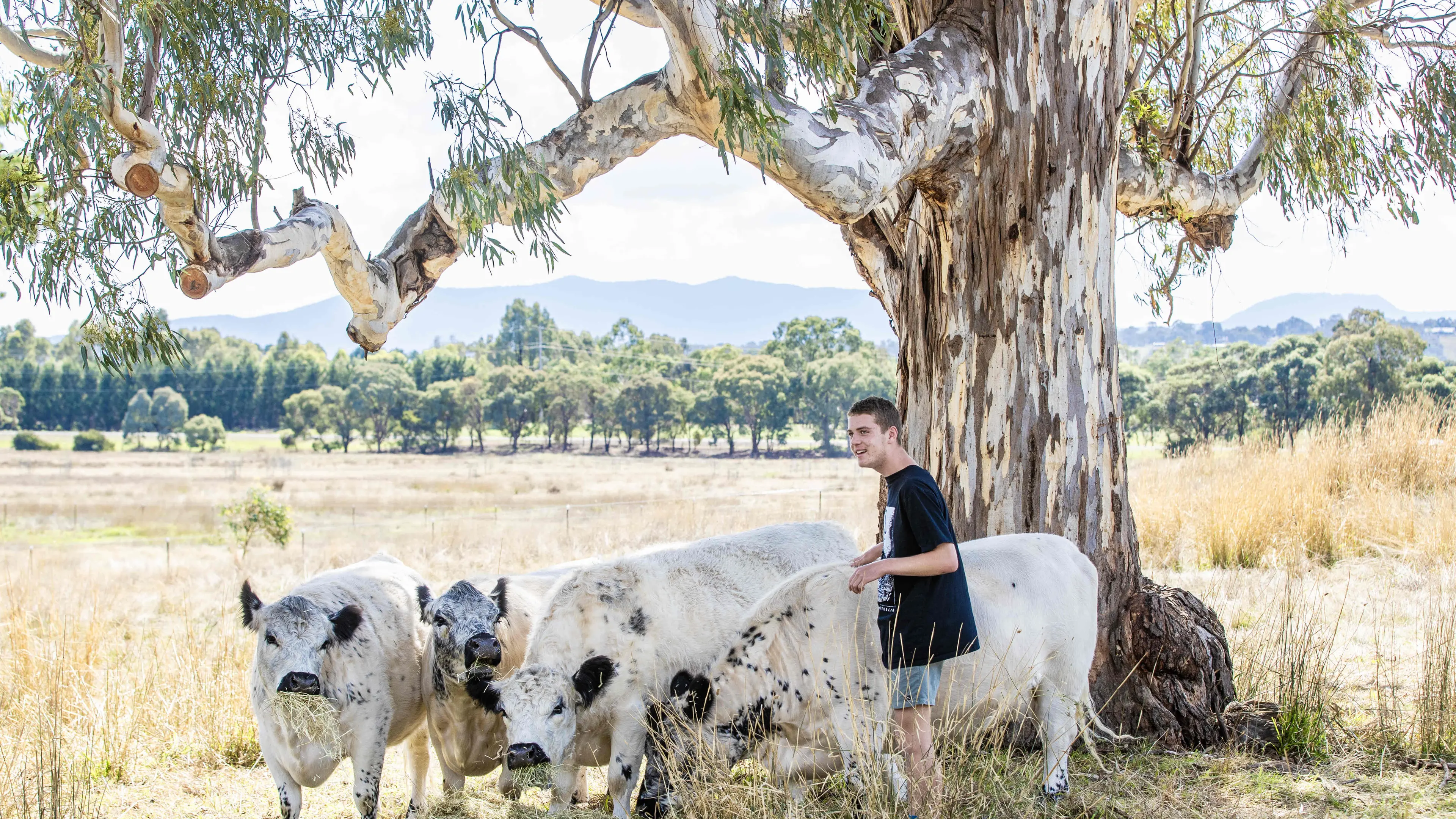 New service fills gap for autistic young adults
