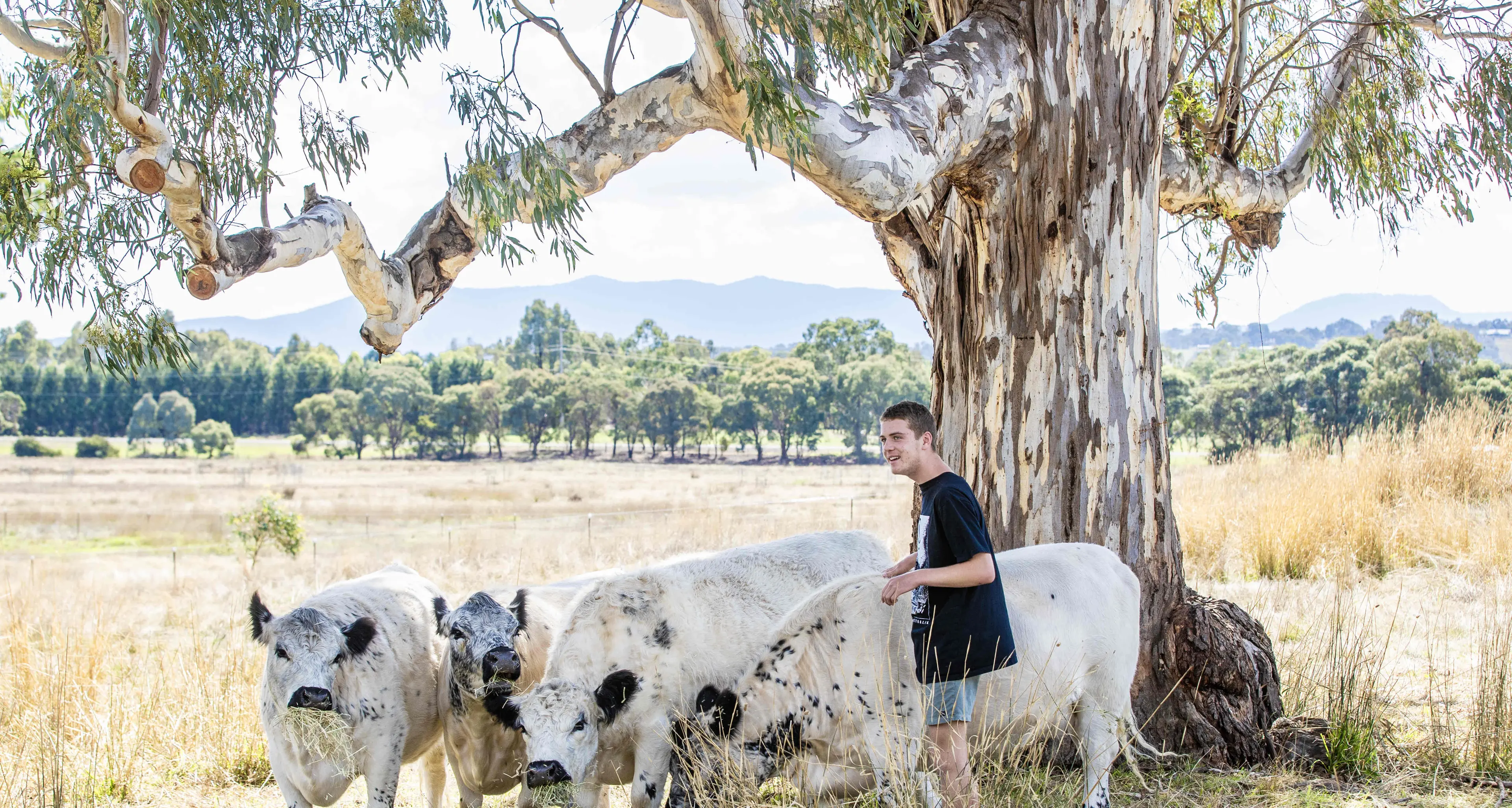 New service fills gap for autistic young adults