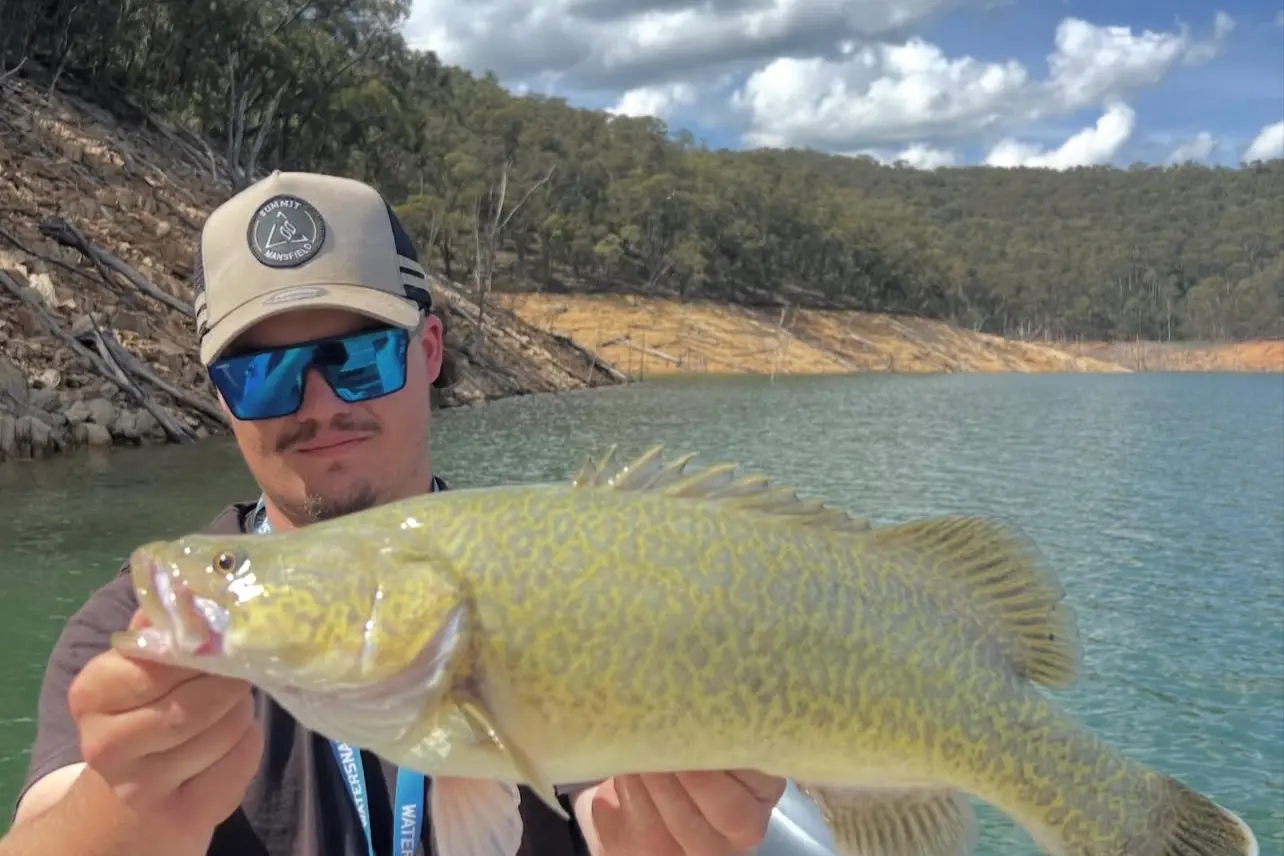 <p>Murray cod can be sensitive to noise, particularly in shallow water </p>\\n