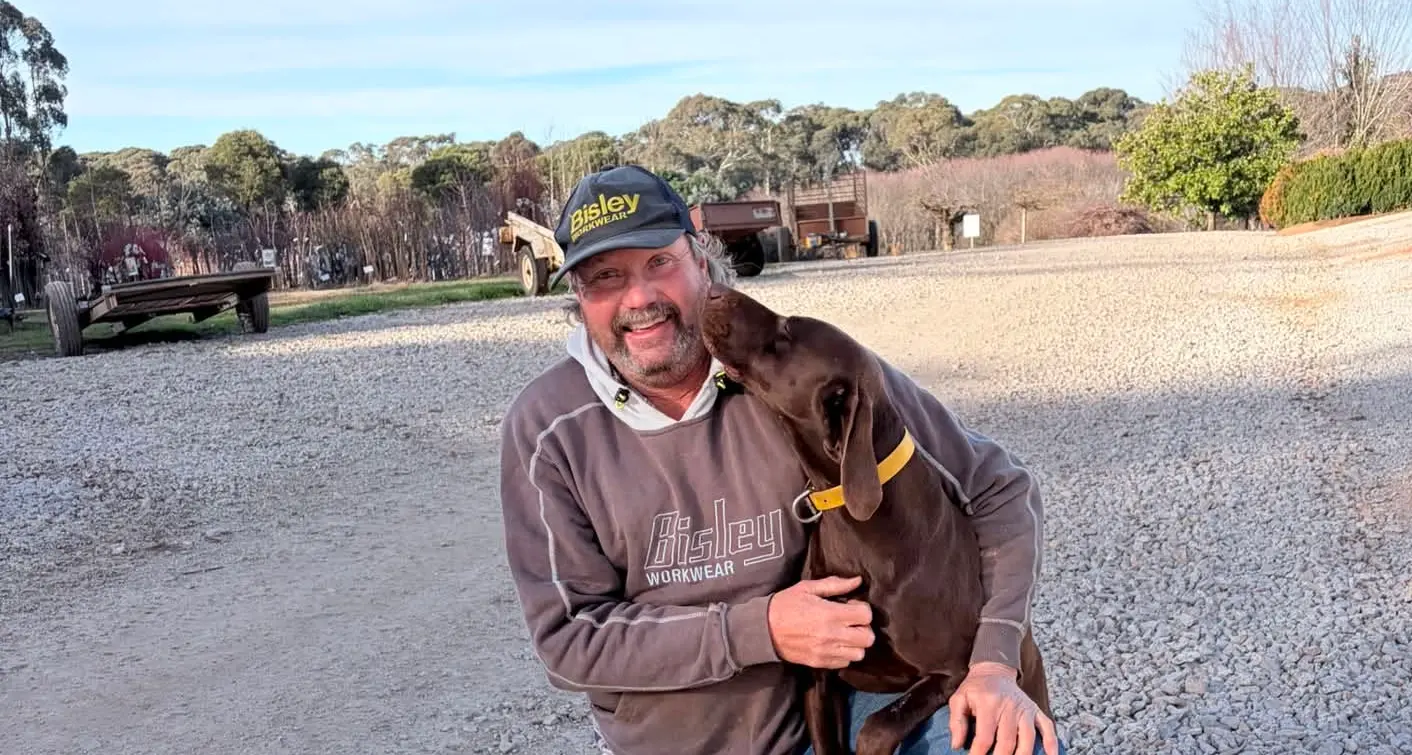 Stanley nursery owner offers $20k reward after dog shot on property