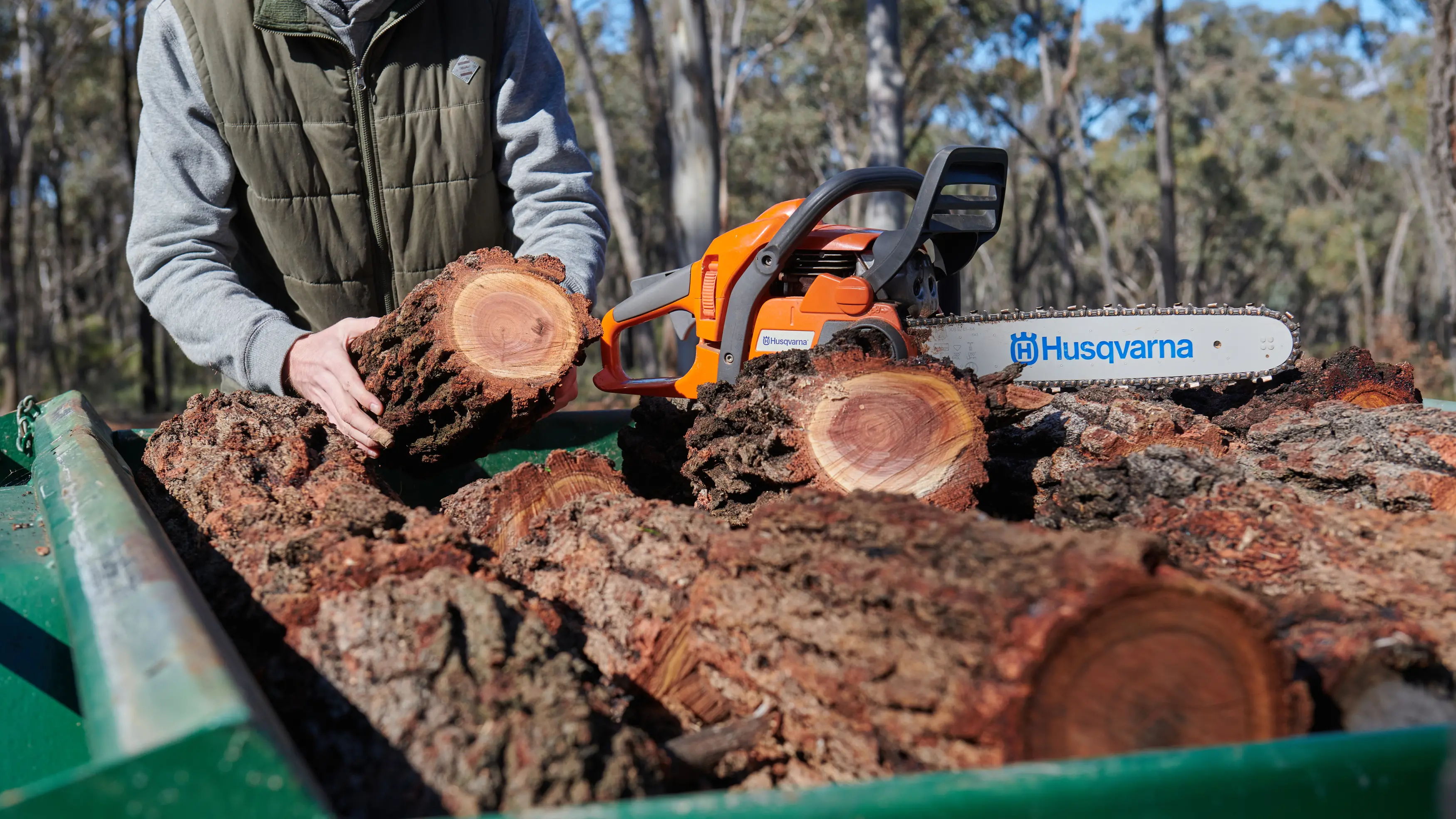 Spring firewood collection opens 1 September