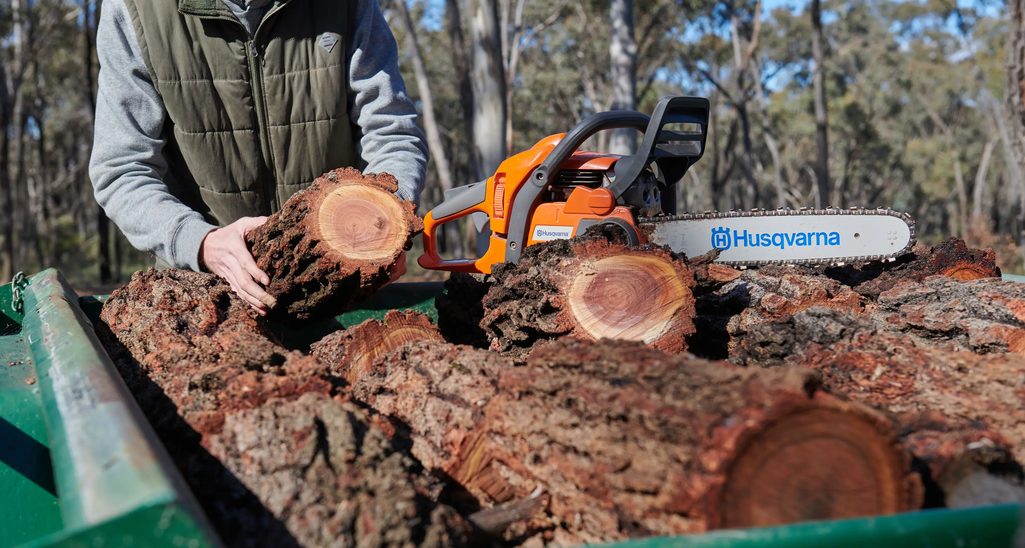 Spring firewood collection opens 1 September