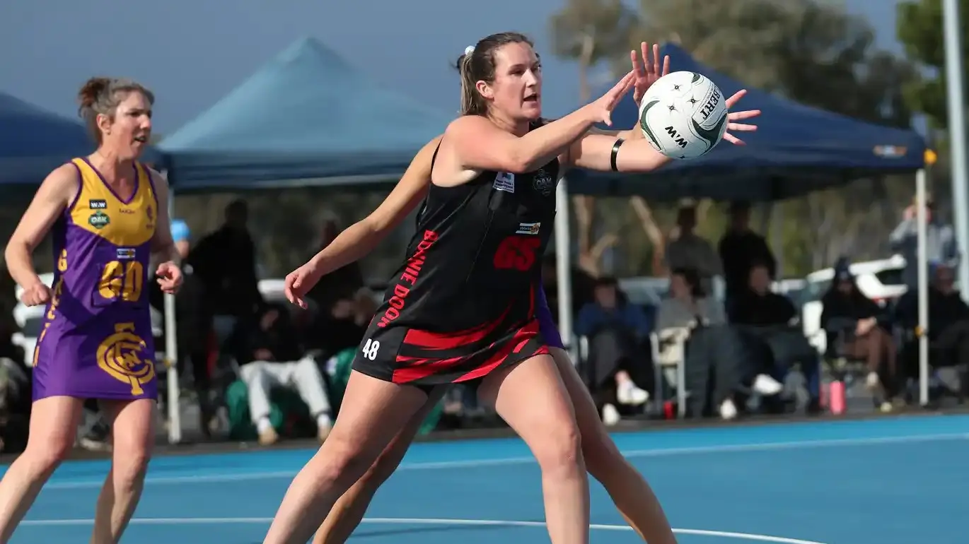 All BD divisions heading for grand final